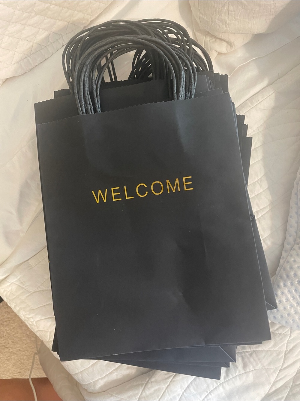 53 Black 'WELCOME' Paper Gift Bags with Twisted Handles